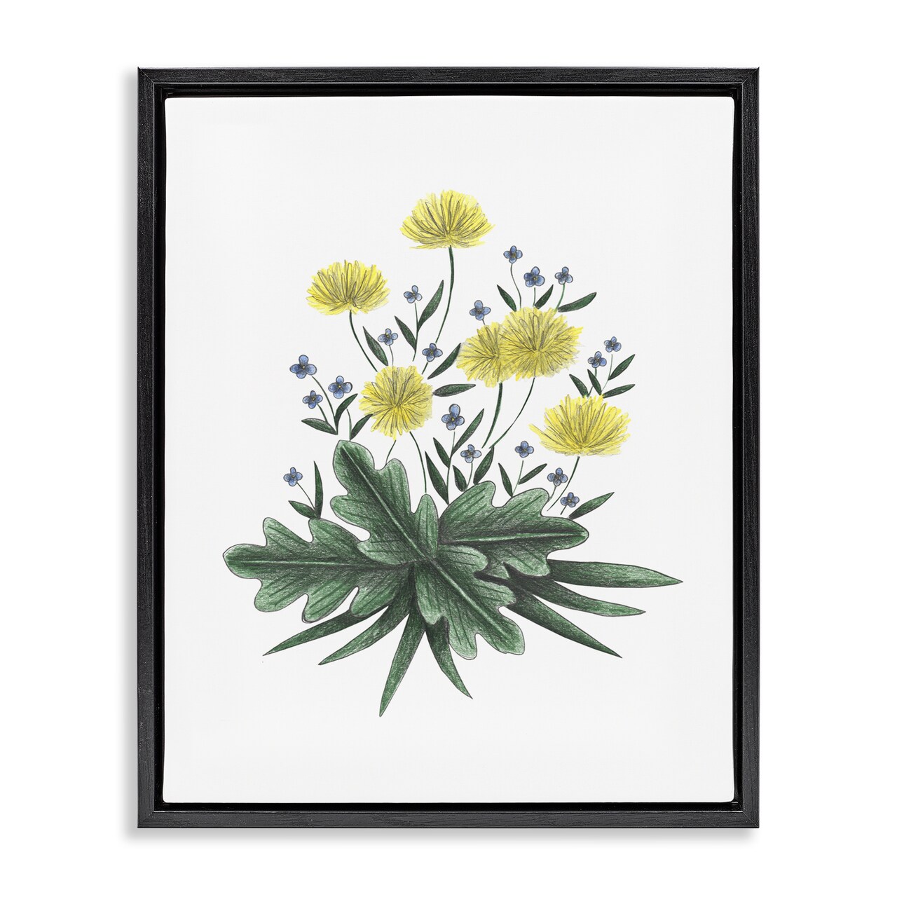 Stupell Industries Dandelion Flower Illustration Floating Frame, design by Cecilia Battaini